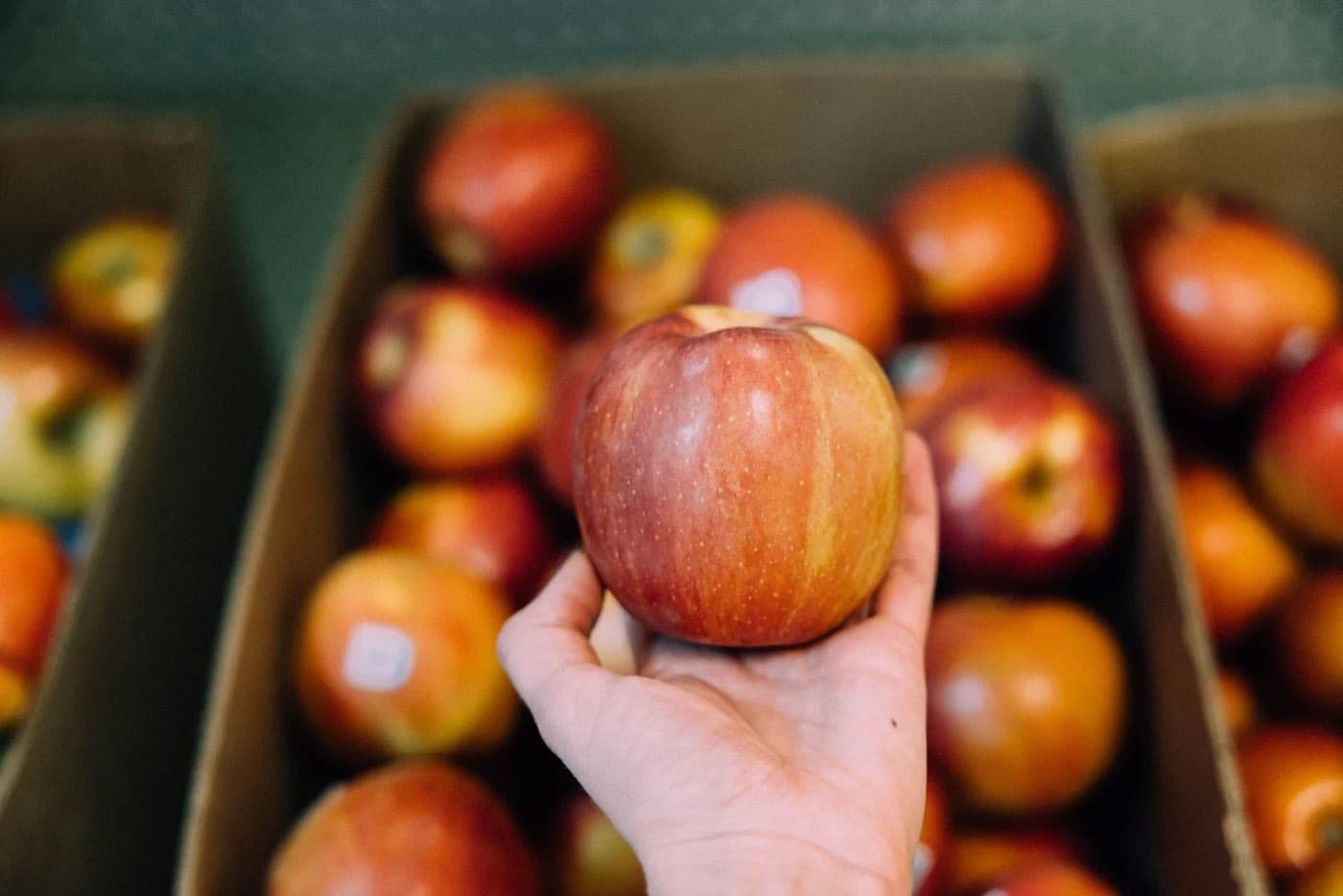 A hand holding up an apple above boxes of apples