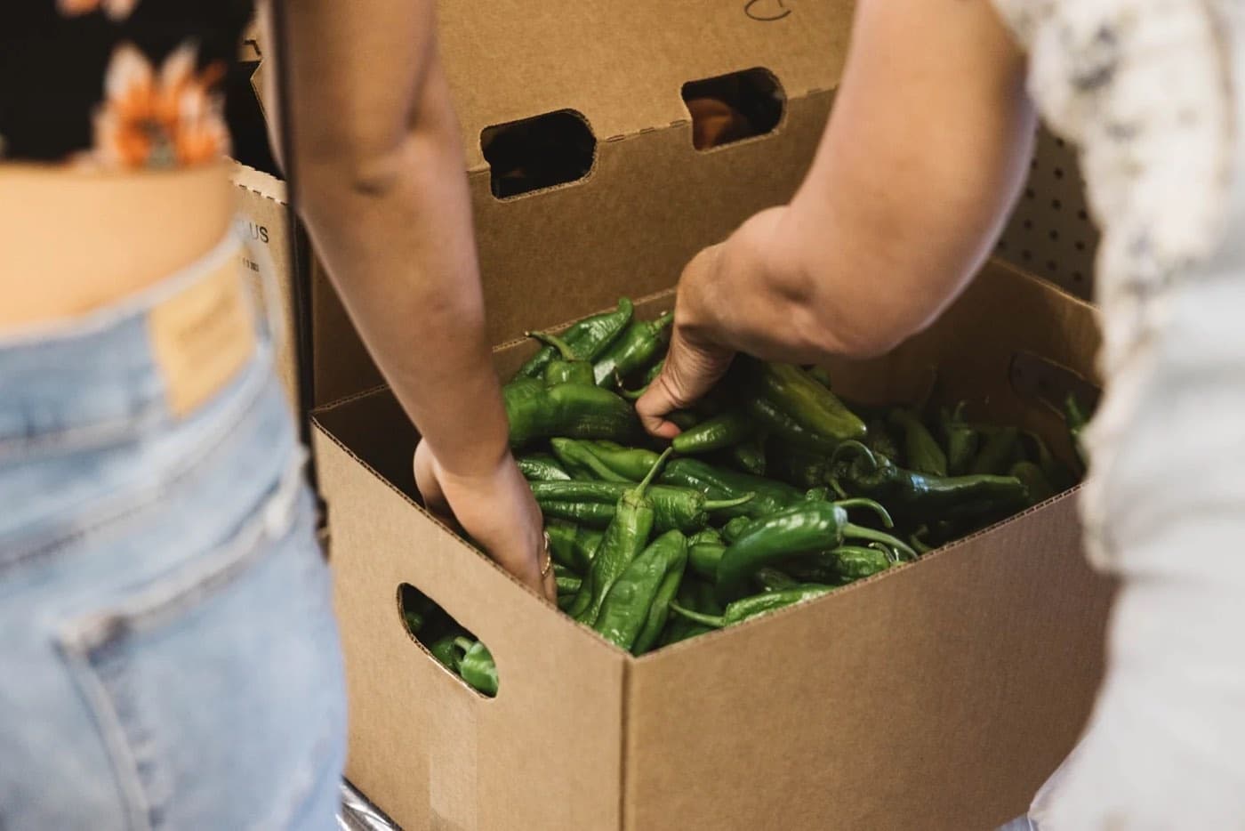 Two people carrying a box of green chiles between them