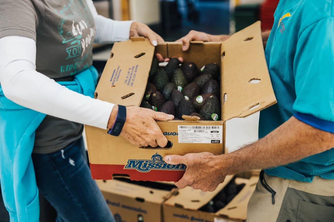One volunteer handing a box of avocados to another