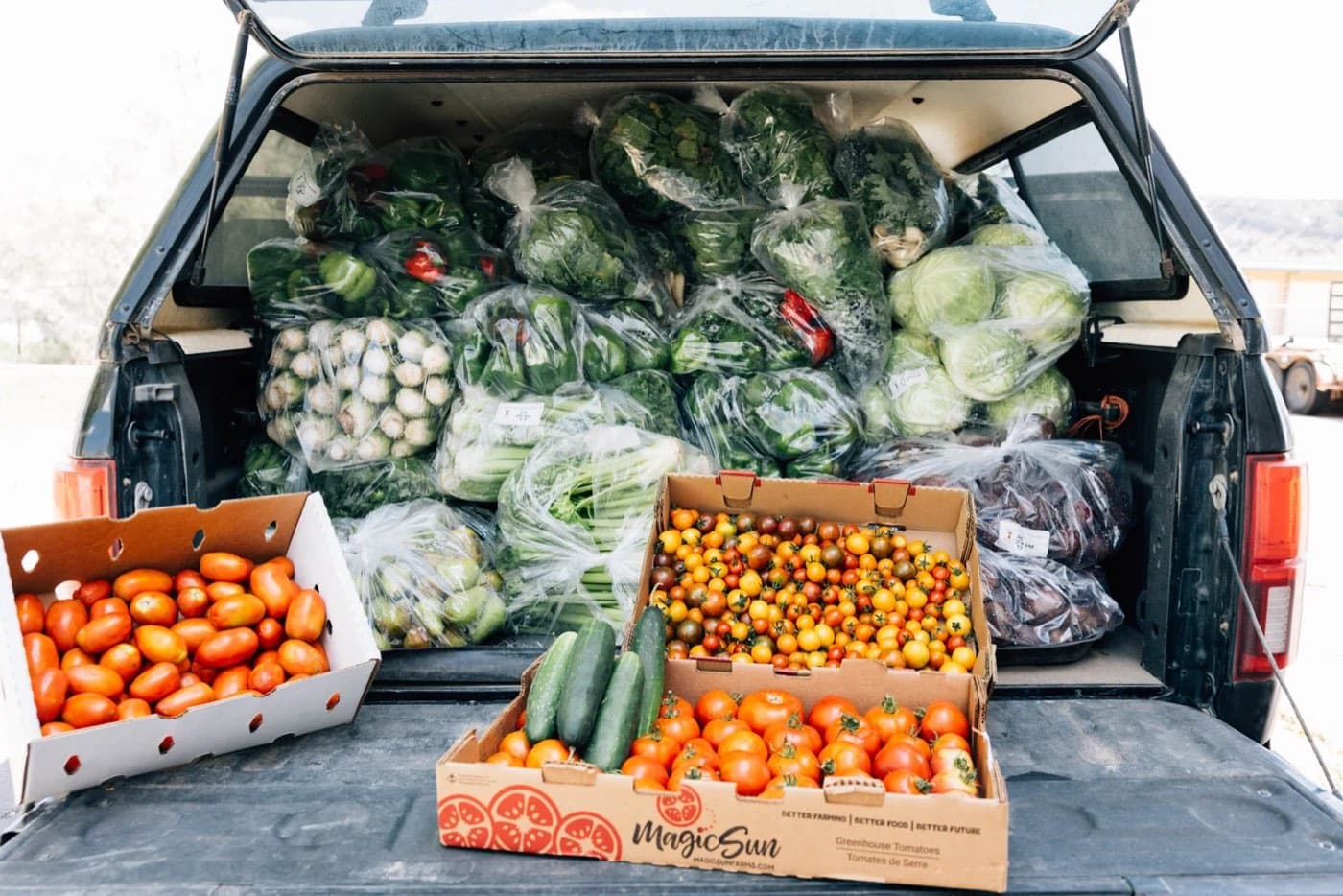 A pickup truck loaded with crates of tomatoes, greens and squash for the pantry