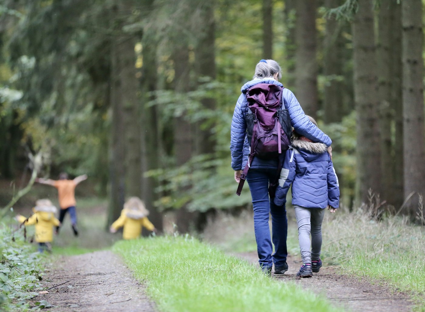 A family hiking a forest trail with the kids running ahead